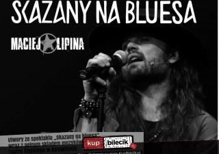 Maciej Lipina - SOLO tour 2024. Blues-rockowe hity OLSZTYN - Galeria Sowa (Galeria Sowa) - bilety