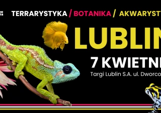 Egzotyczne Zwierzęta LUBLIN - 7 Kwietnia TERRARYSTYKA / AKWARYSTYKA / BOTANIKA (Targi Lublin S.A.) - bilety