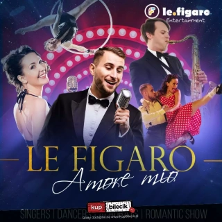 Walentynkowa Rewia Musicalowa ,,Le figaro-Amore mio" (Collegium Da Vinci - Aula Artis) - bilety
