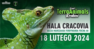TerraAnimals Kraków TERRARYSTYKA & BOTANIKA 18 LUTEGO 2024 (Hala Cracovia) - bilety