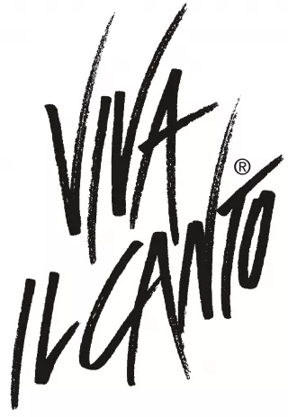 Koncert finałowy Festiwalu "Viva il Canto" Cieszyn 2014